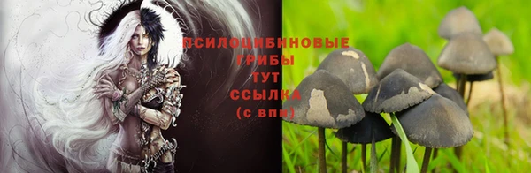 каннабис Армянск