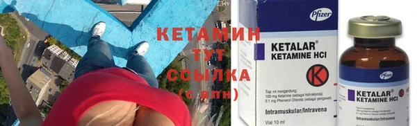 стафф Аркадак