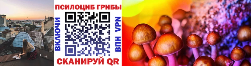 Псилоцибиновые грибы Psilocybe  купить наркотик  Бирюсинск 