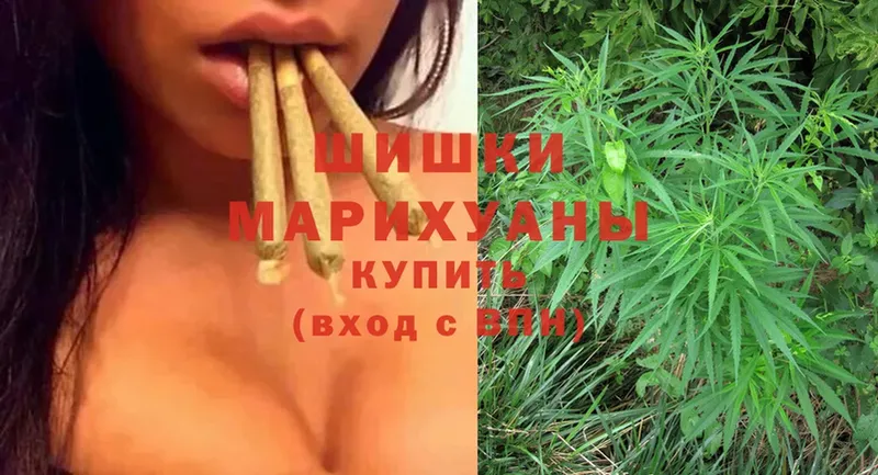 Бошки марихуана White Widow  Бирюсинск 