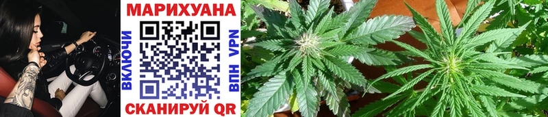 хочу   Бирюсинск  mega tor  Бошки марихуана план 